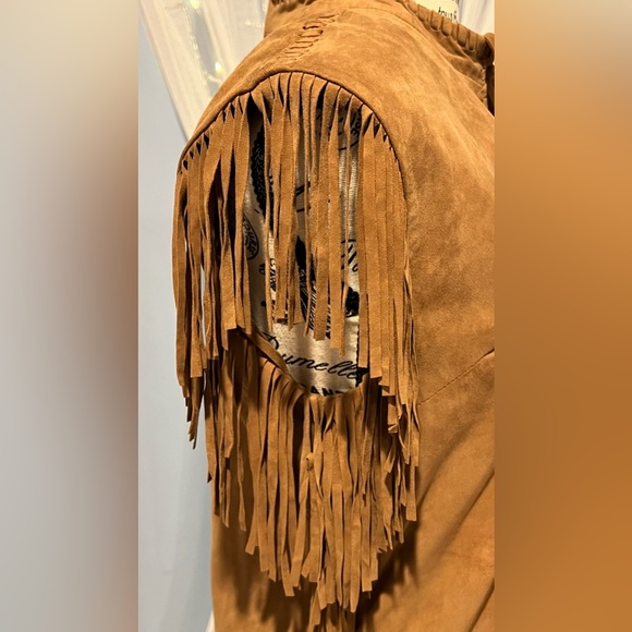 🌰WALTER BAKER LEATHER DRESS WITH FRINGE NWOT🌰VERY SOFT , RARE TO FIND - Picture 4 of 12